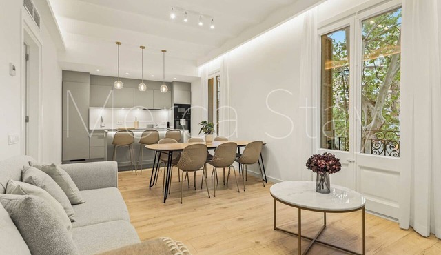 Stylish and Modern Apartment