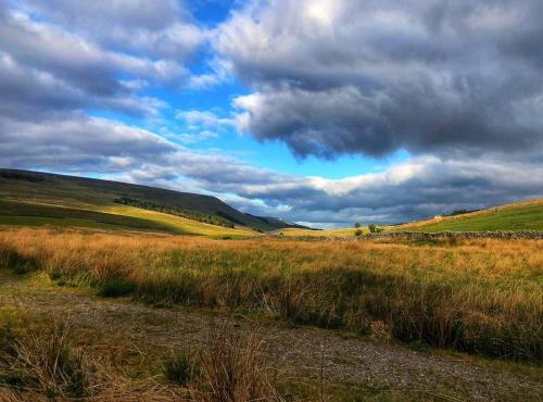 The Barn-Goats&Oats, Garsdale
