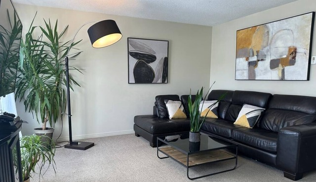 The Beachwood suite in Waterloo