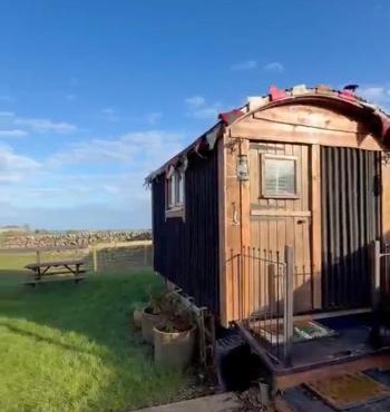 The Black Sheep Shepherd's Hut