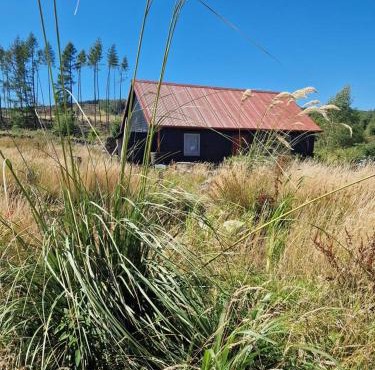 The Bothy In The Park