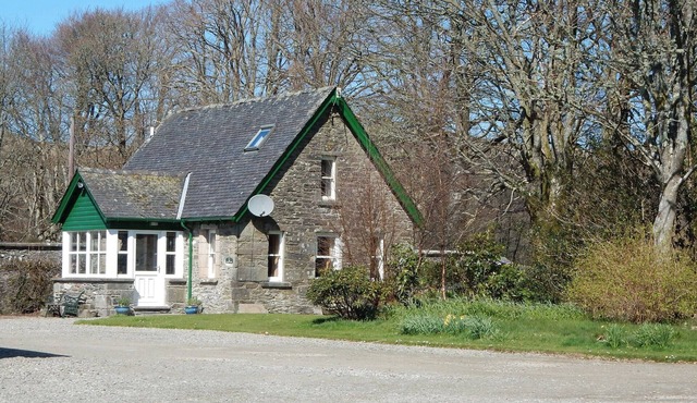 The Bullock Shed - 31241