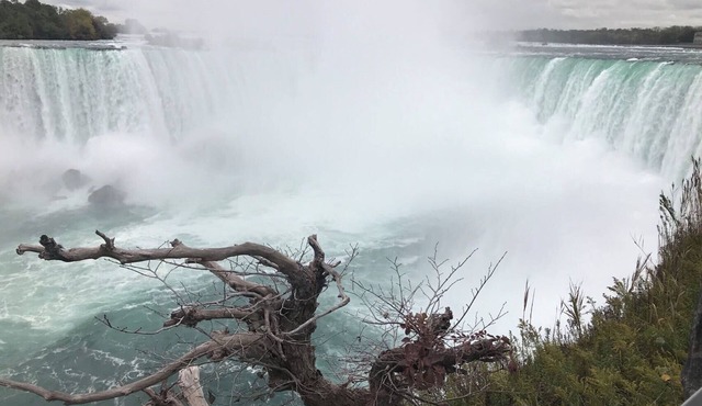 THE Crown Pearl OF Niagara Falls