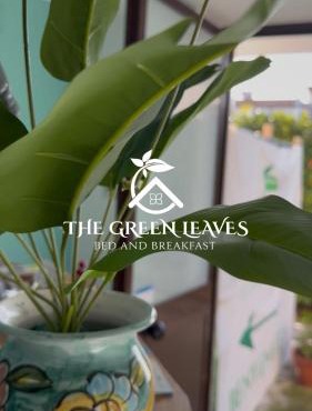 The green leaves