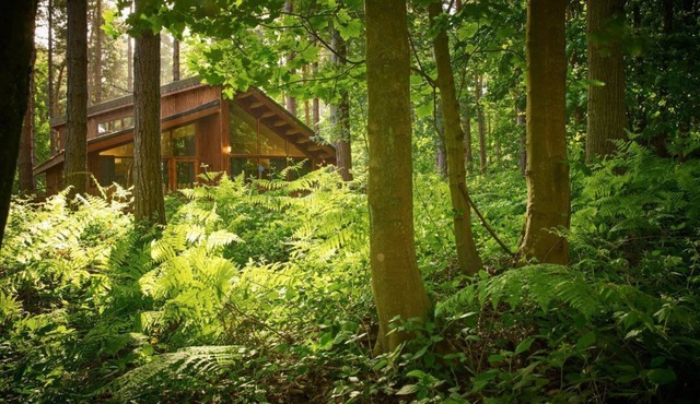 Thorpe Forest Golden Oak Hideaway, Thorpe Forest