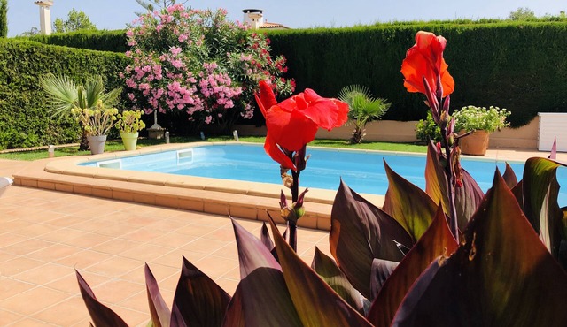 Top maintained and fully equipped holiday home with pool near the beach