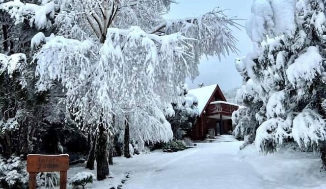Totara Lodge | Snow | Couple Retreat - ML97564