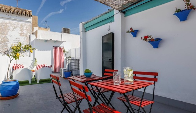Traditional Seville apartmentA/C, WiFi, Cathedral Barrio Arenal