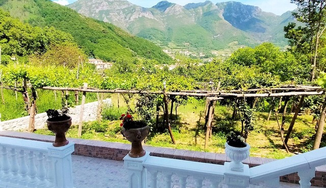 Tramonti Countryside Villa with Jacuzzi and Garden
