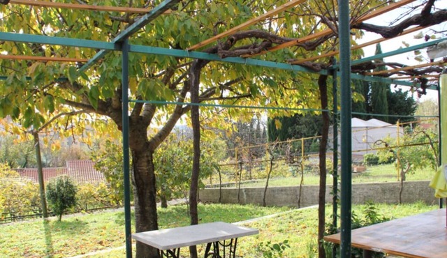 Very nice little house with large garden with barbecue