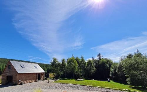 Woodland studio