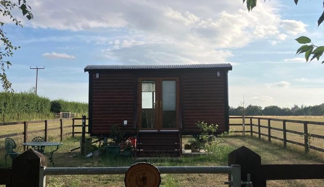 Woodpeckers Shepherds Hut