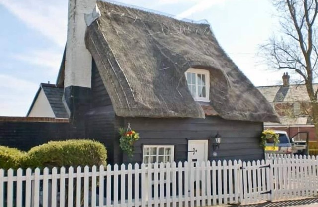 Thatch 