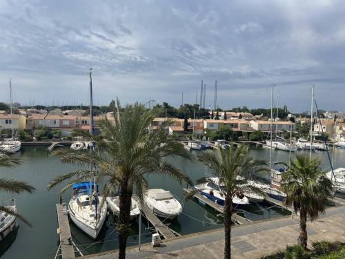 Studio 4 pers avec piscine et parking à 1200m de la plage - FR-1-249-263