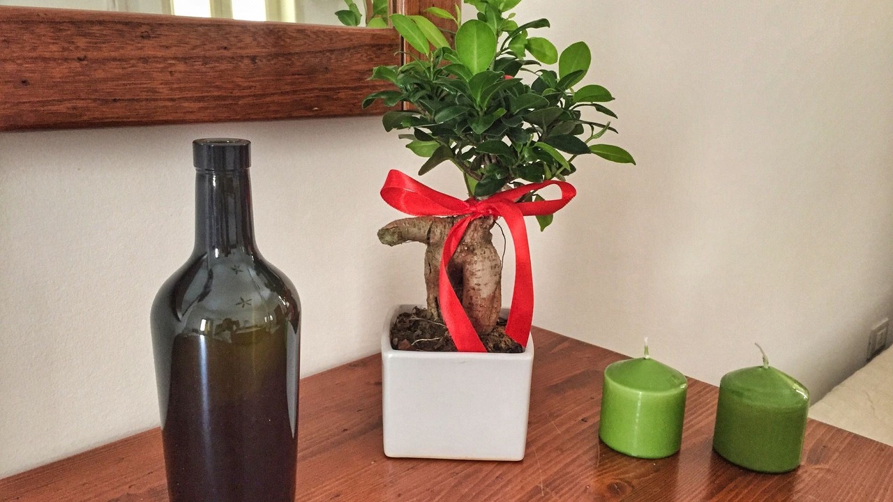 Photo of Livingroom in Centro Storico
