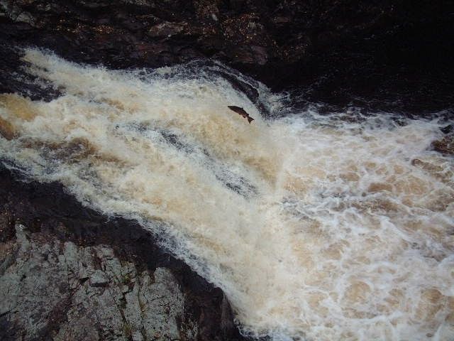 Photo of Outdoor in Rogart