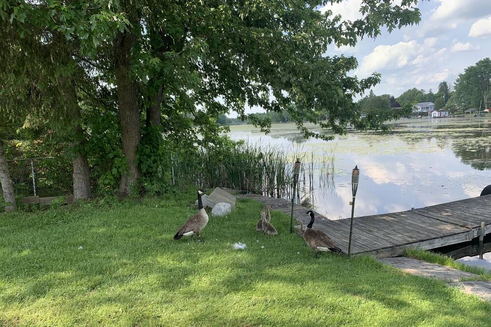 Photo of Outdoor in Peterborough