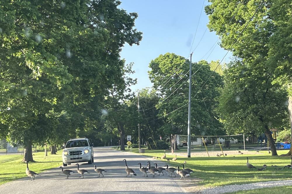 Photo of Outdoor in Amherstburg