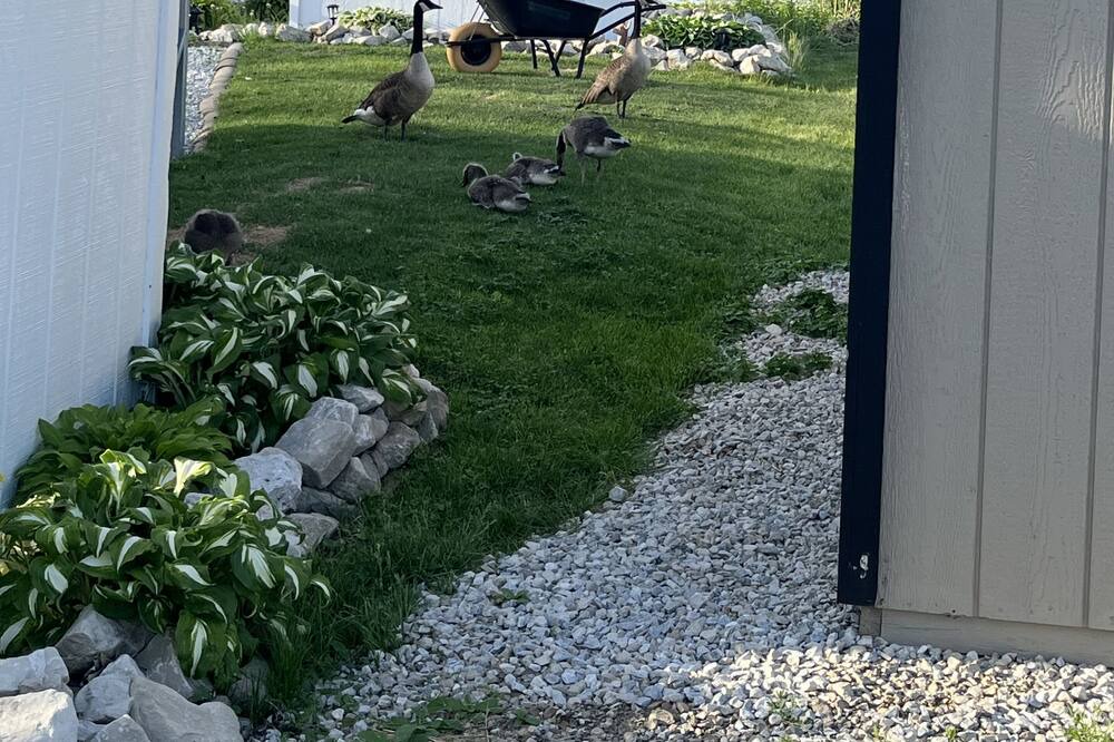 Photo of Outdoor in Amherstburg