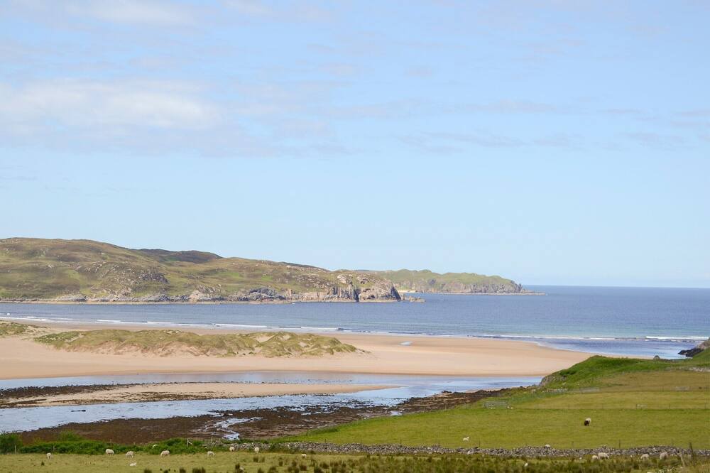 Photo of Others in Thurso