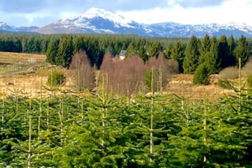 Photo of Outdoor in Kippen