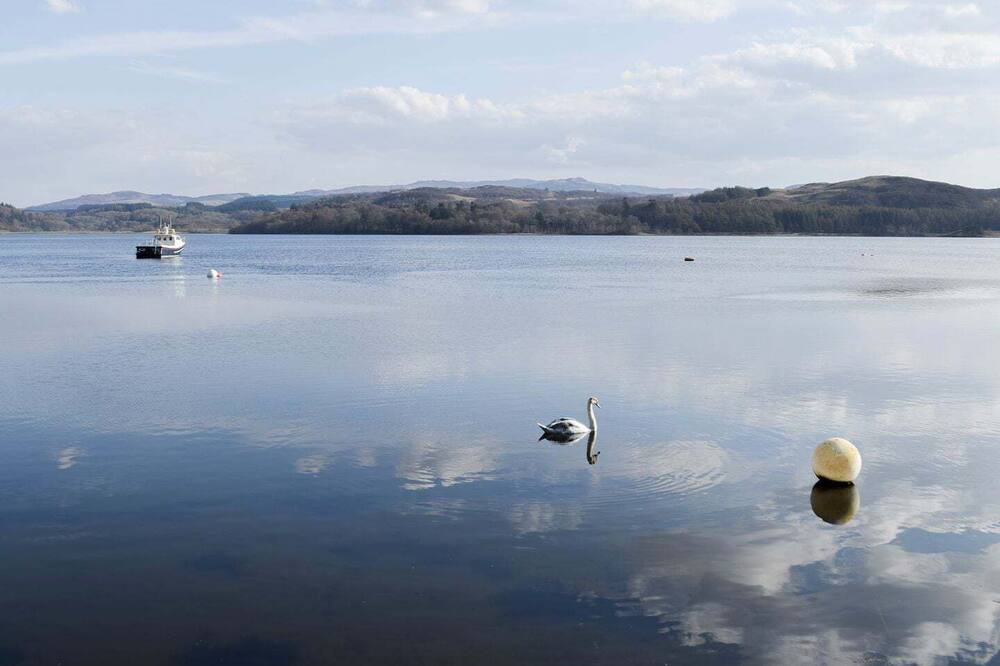 Photo of Outdoor in Benderloch