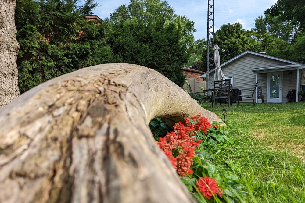 Photo of Outdoor in Town of Essex