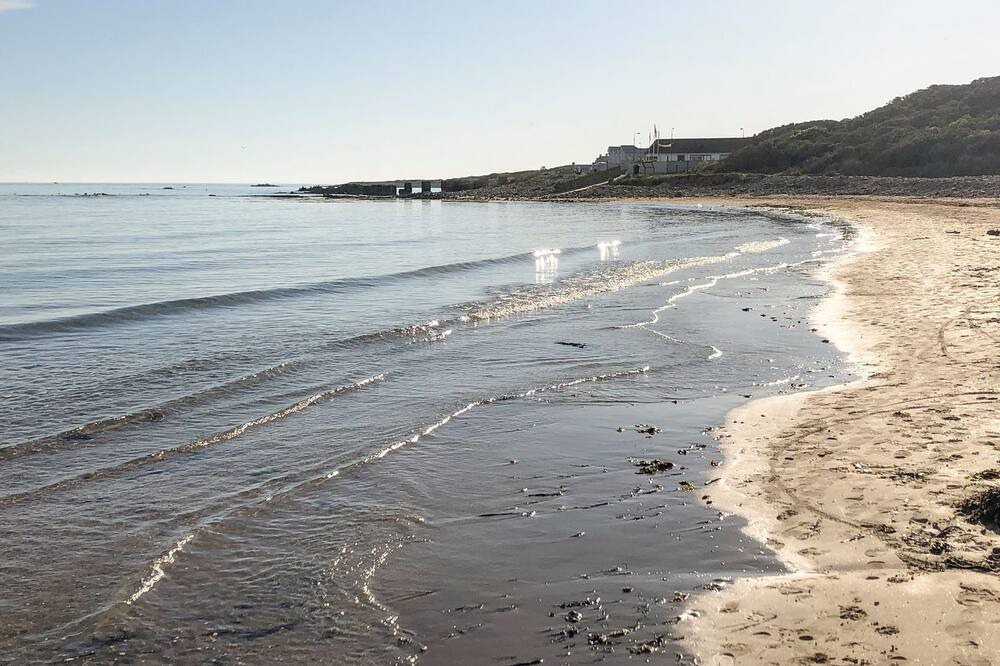 Photo of Others in Lossiemouth