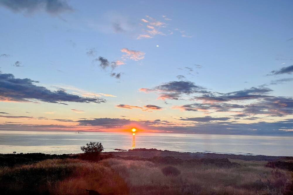 Photo of Others in Lossiemouth