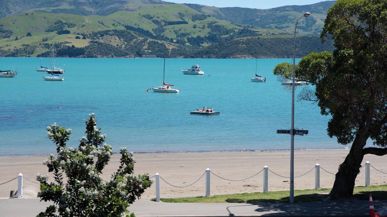 Photo of Others in Akaroa