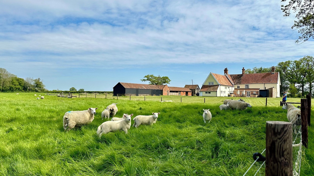 Photo of Others in Sibton