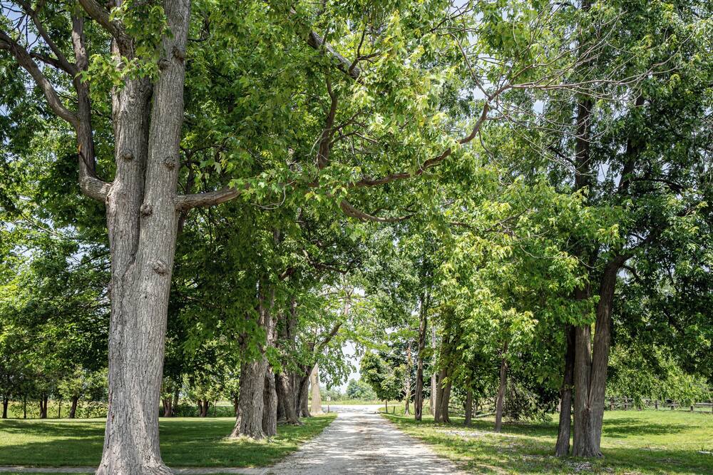 Photo of Outdoor in Saint Joachim