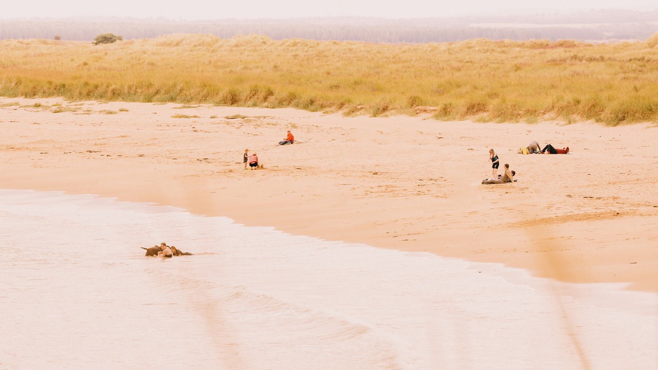 Photo of Others in Dornoch
