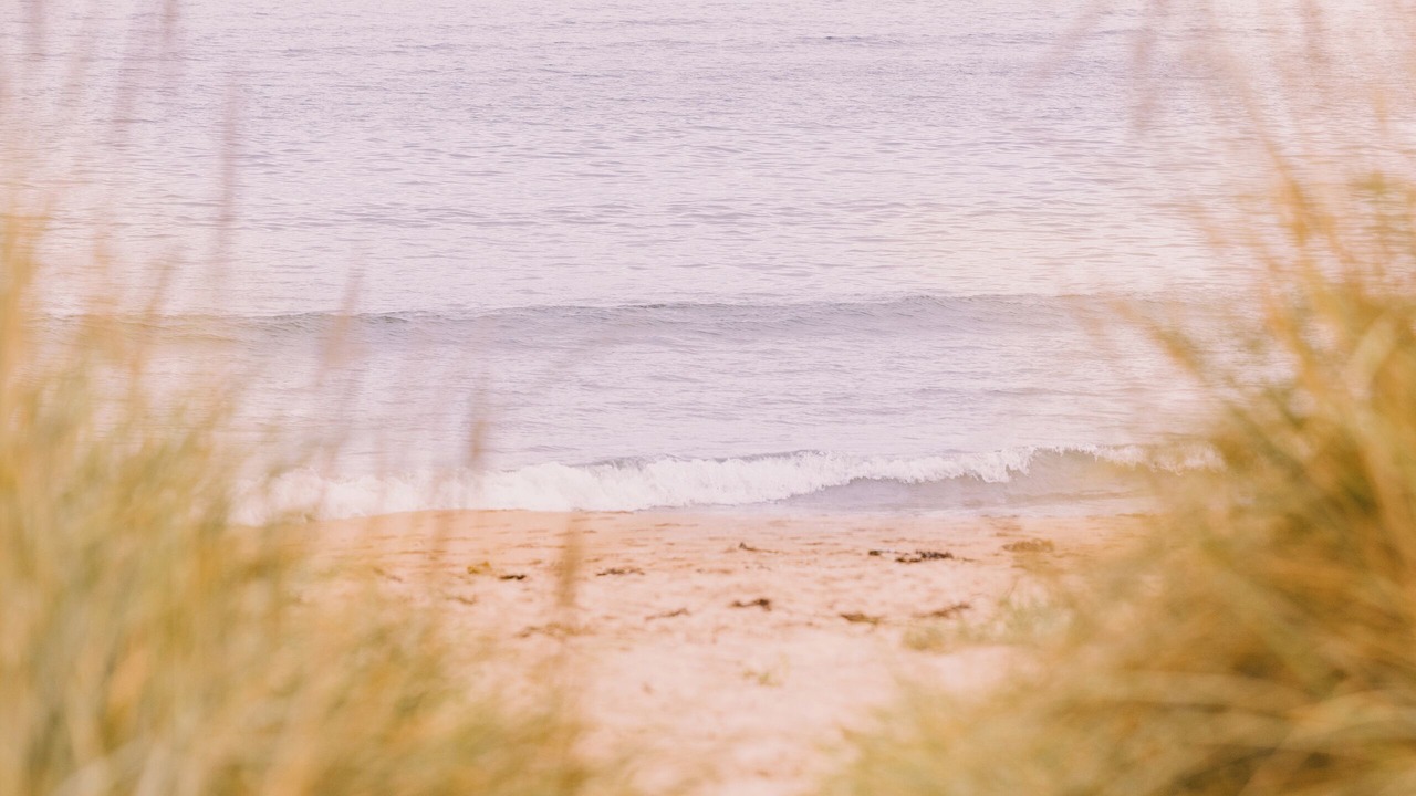 Photo of Others in Dornoch