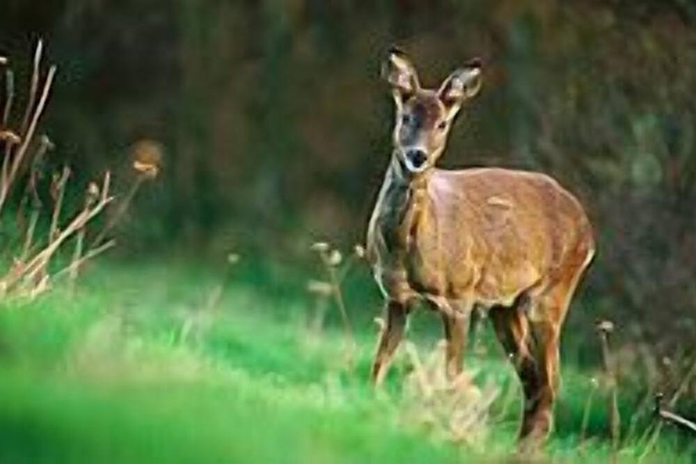 Photo of Others in Largs