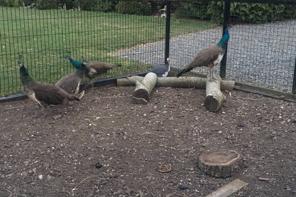 Photo of Others in Sudbury