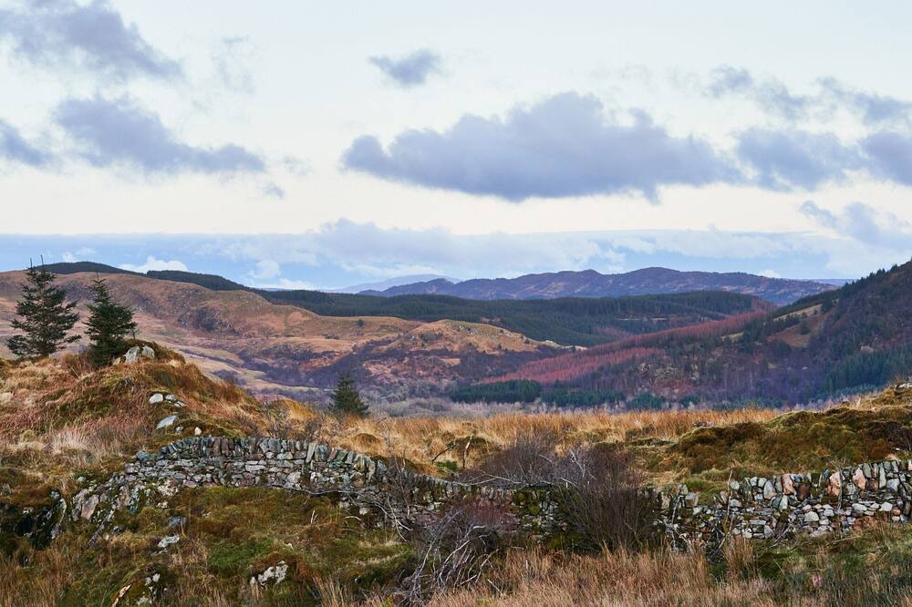 Photo of Others in Lochgilphead