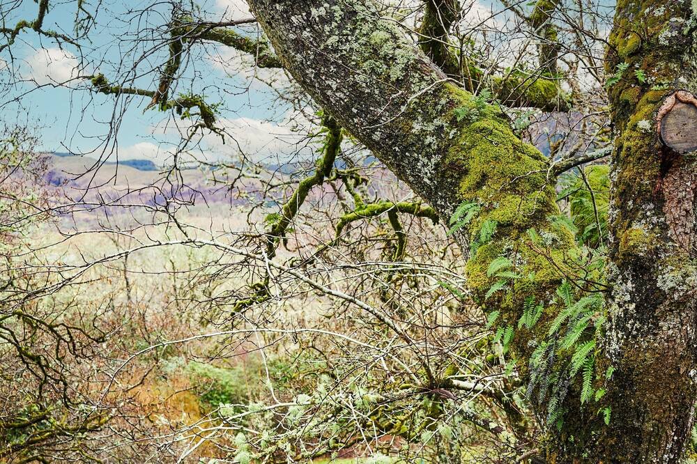 Photo of Outdoor in Lochgilphead