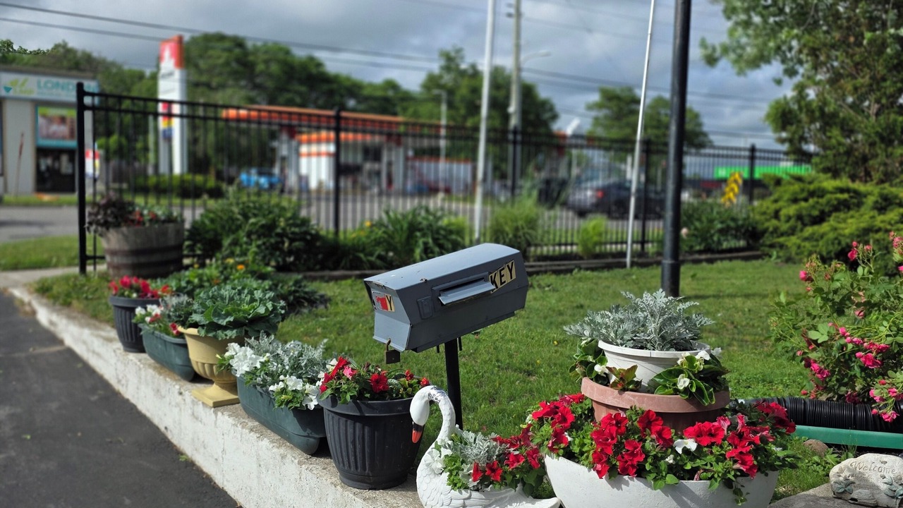 Photo of Outdoor in Argyle