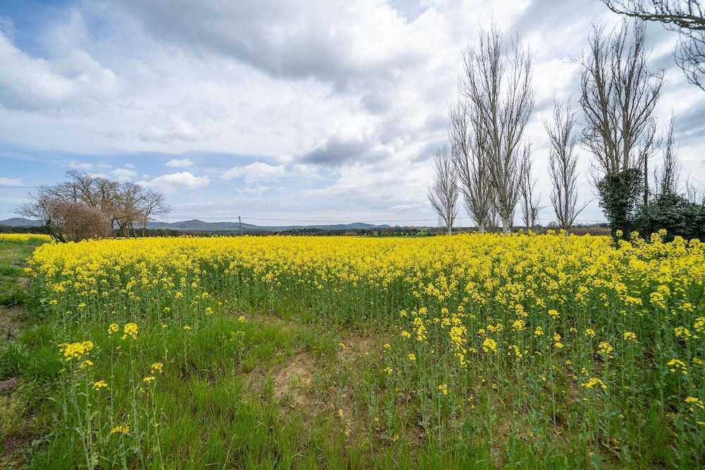 Photo of Outdoor in Llagostera