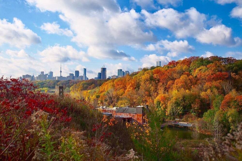 Photo of Outdoor in Flemingdon Park
