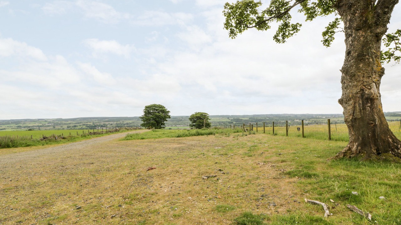 Photo of Outdoor in Banknock