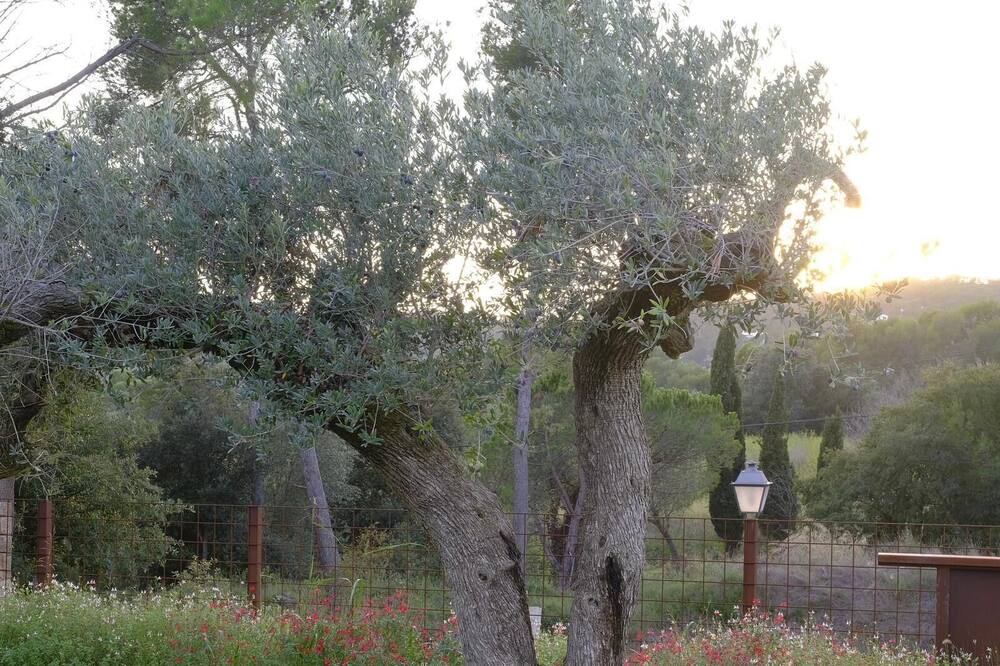 Photo of Outdoor in Vall-Llobrega