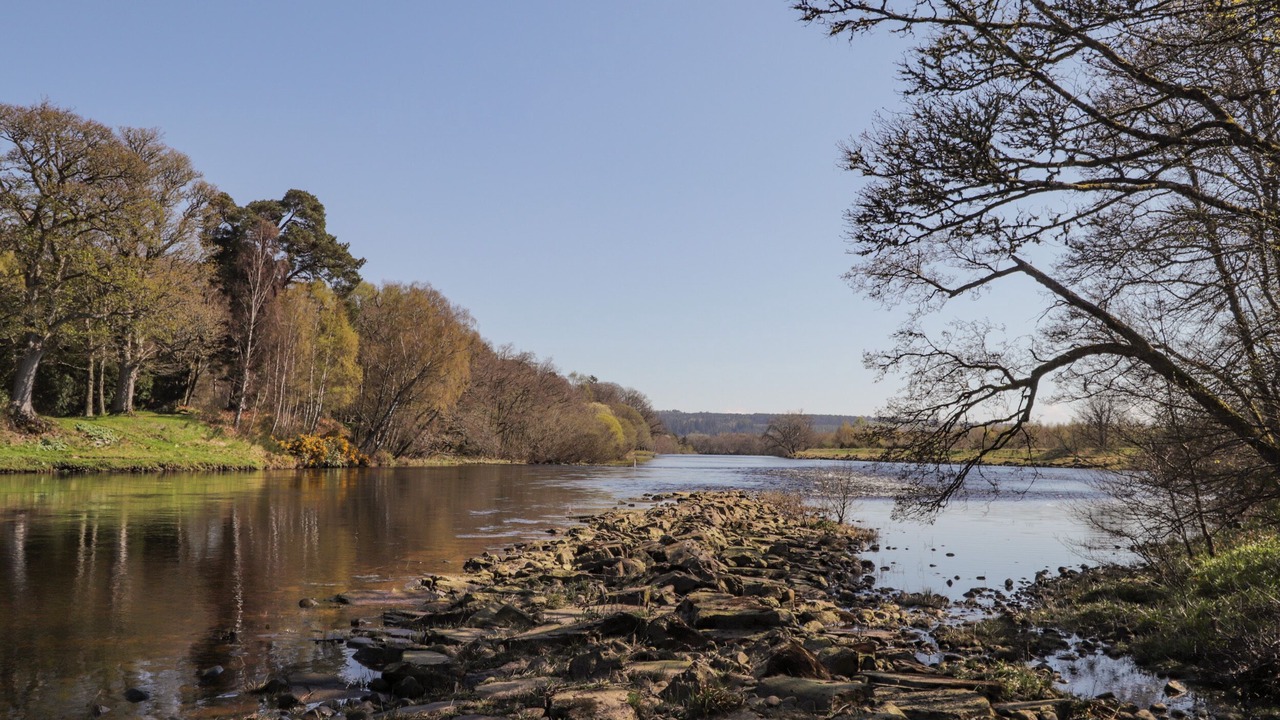 Photo of Outdoor in Marybank