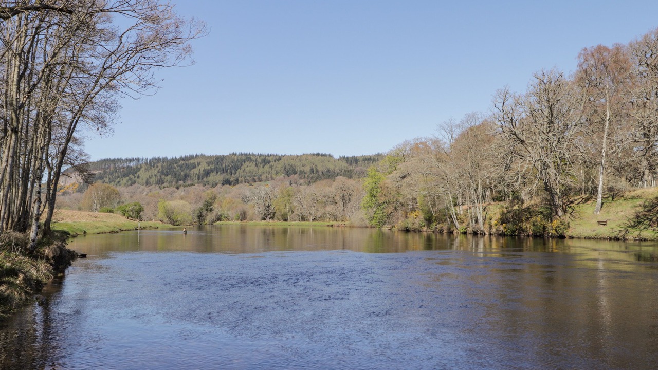 Photo of Others in Marybank