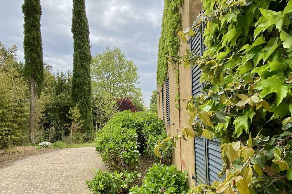 Photo of Outdoor in Mont-Ras