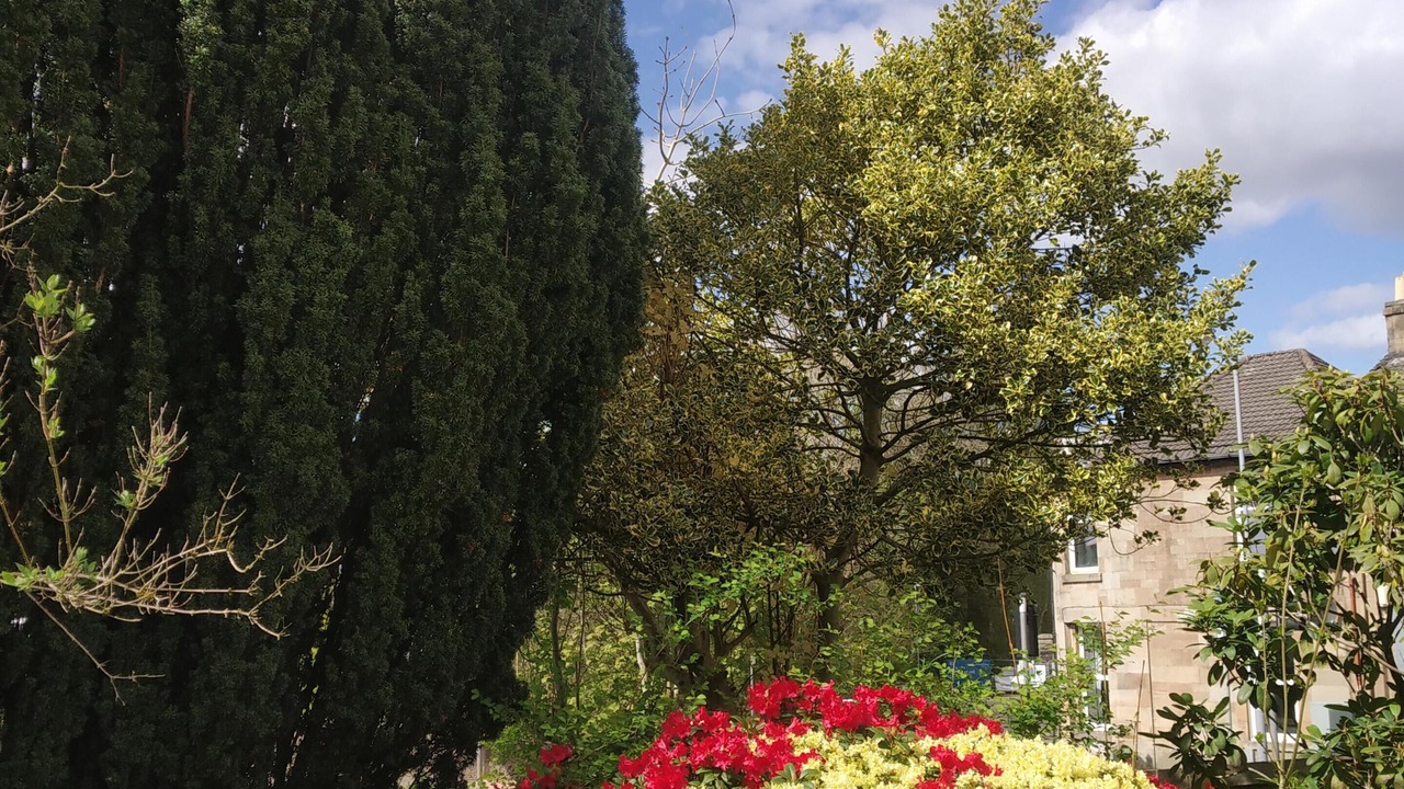 Photo of Outdoor in Busby