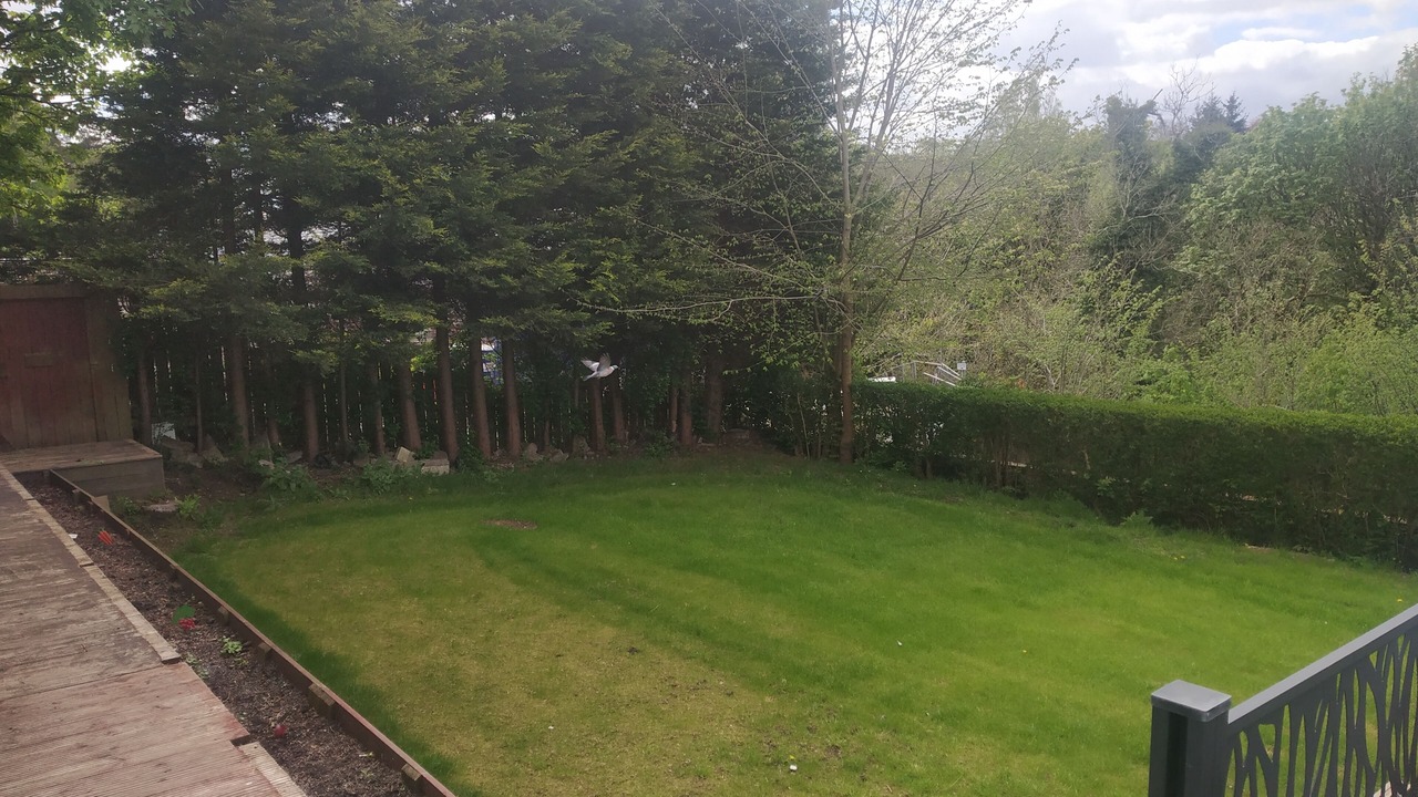 Photo of Outdoor in Busby