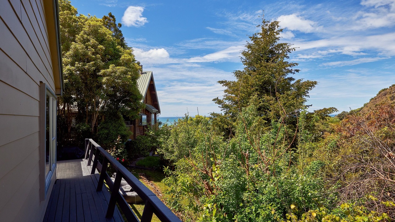 Photo of Outdoor in Kaikoura District