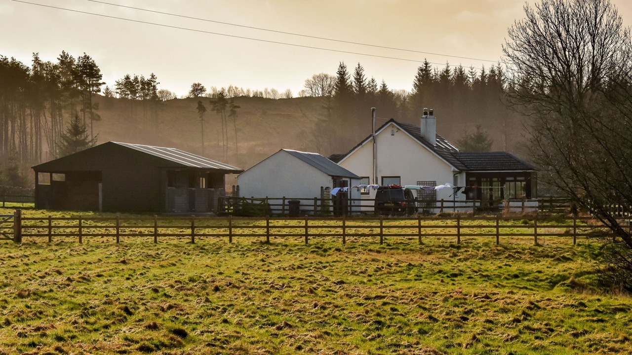 Photo of Others in Galloway Forest Park